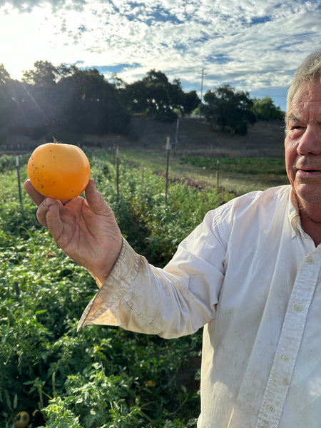 Steve Sprinkel at Rancho del Pueblo Farm