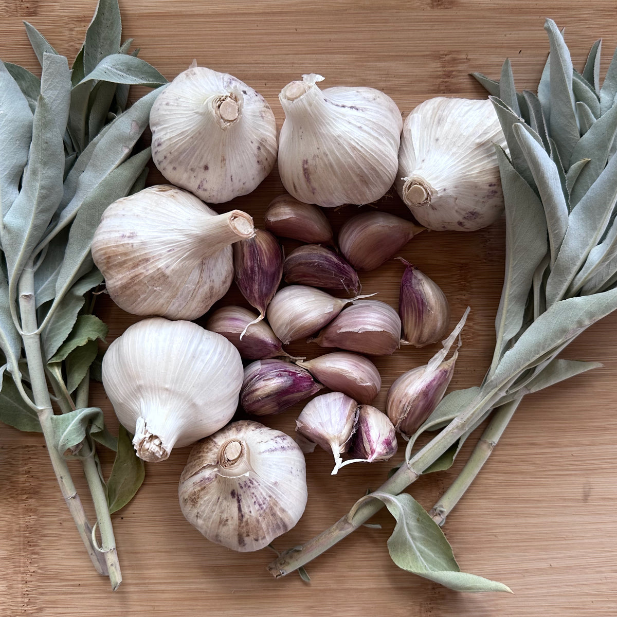Chimyan Hardneck Garlic