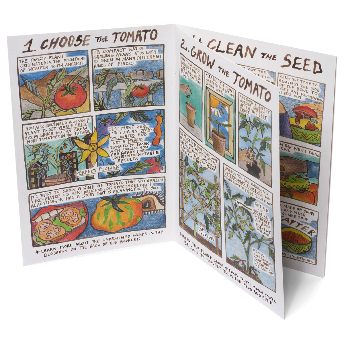 Comic Book: Adventures in Seed Saving #2: Tomato
