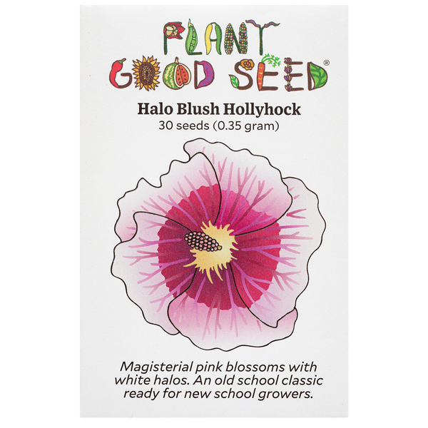 Halo Blush Hollyhock