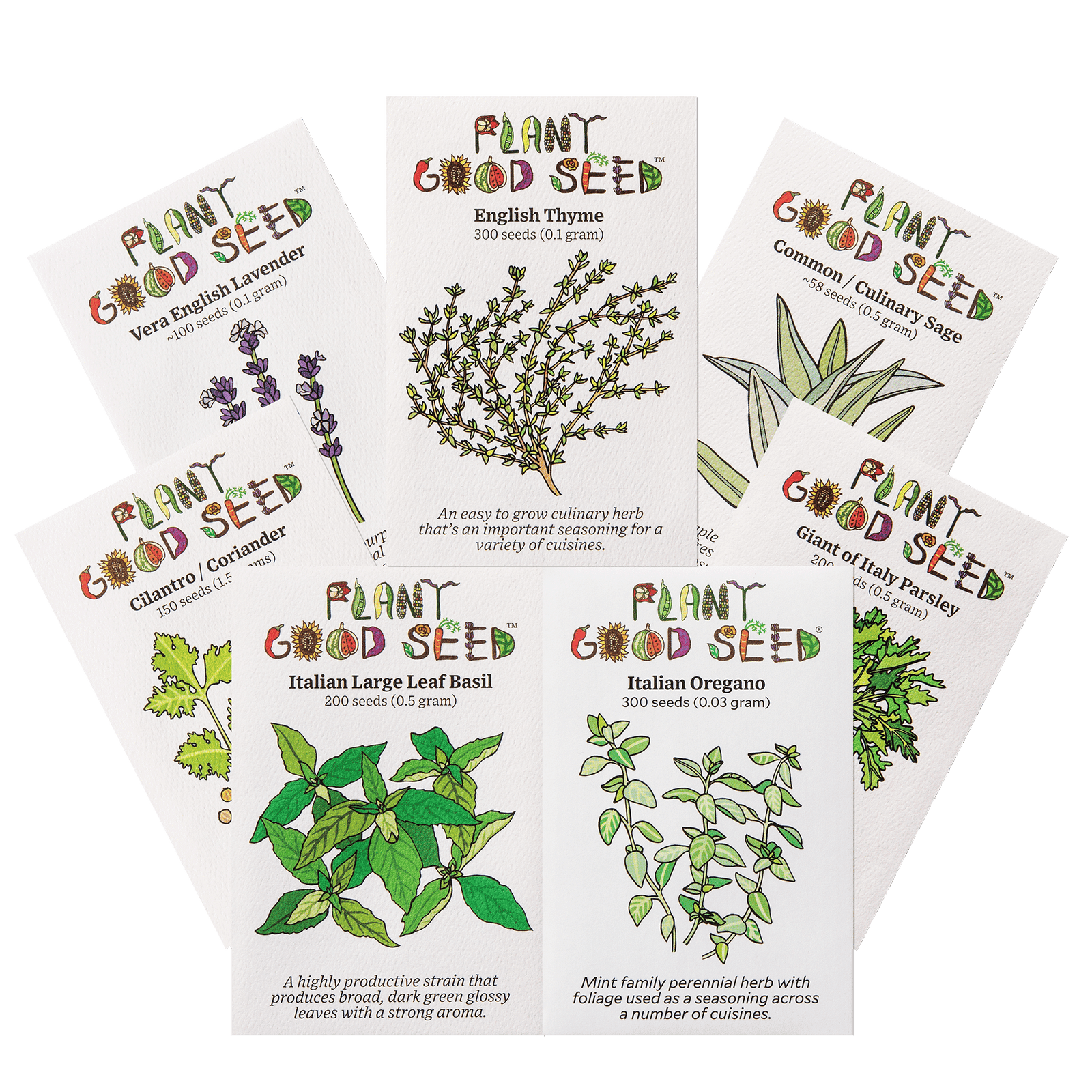 Culinary Herb Seed Collection Lavender Thyme Sage Cilantro Large Leaf Basil Italian Oregano Parsley