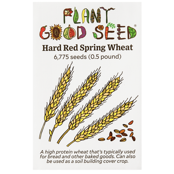 hard red winter wheat seed for planting Red Hard Spring Wheat Seeds