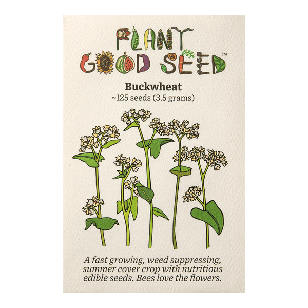 Buckwheat Seeds
