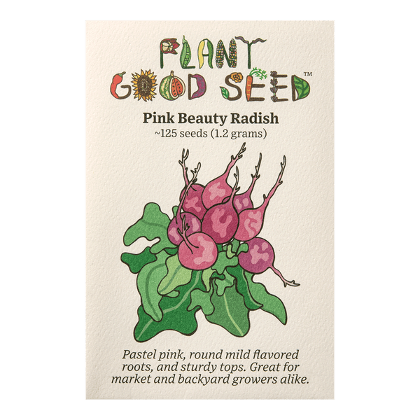 radish flower seeds Pink Beauty Radish