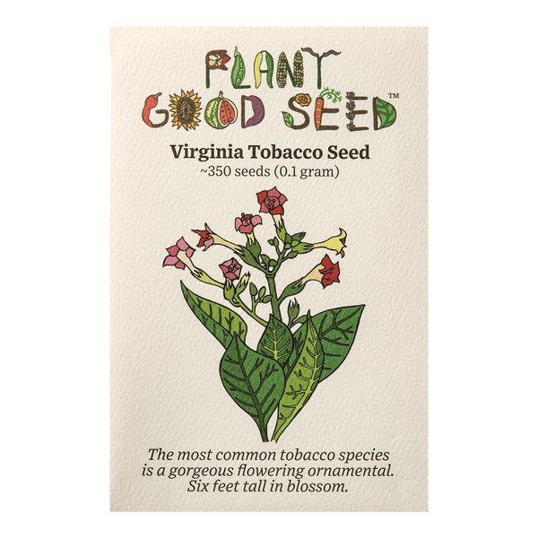 indian tobacco seeds for sale - Black - Packet of 100 Seeds - Nicotiana tabacum - Non-GMO, Open Pollinated Heirloom - Tobacco Garden Seeds This Virginian type has good uniformity producing dark cigar and pipe tobacco. Bulk Hopi Indian Ceremonial Tobacco