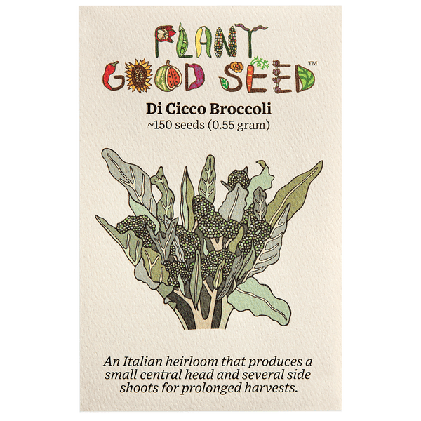 Di Ciccio Sprouting Broccoli Seeds