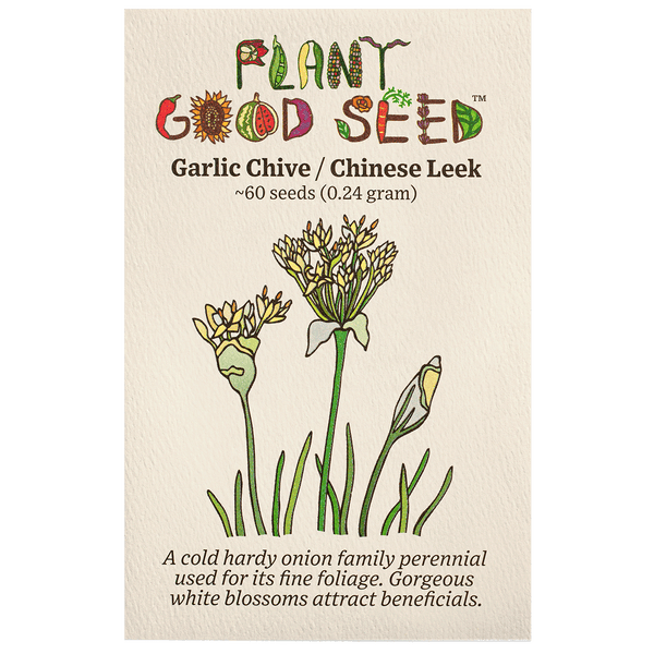 plant leek seeds Garlic Chive / Chinese Leek Seeds