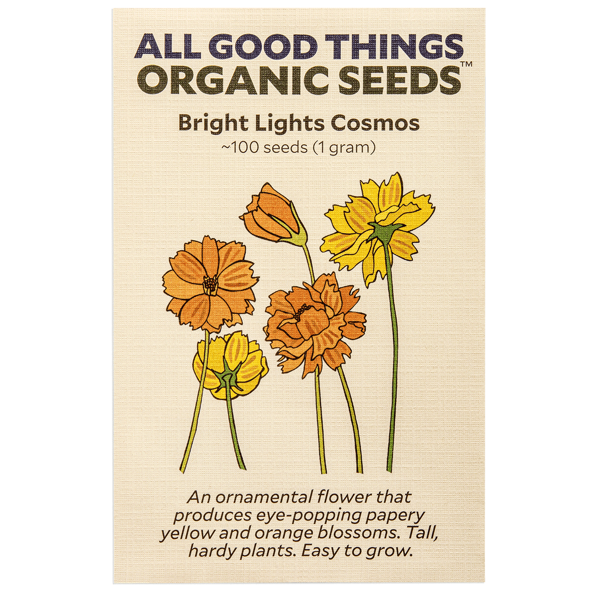 Bright Lights Cosmos Flower