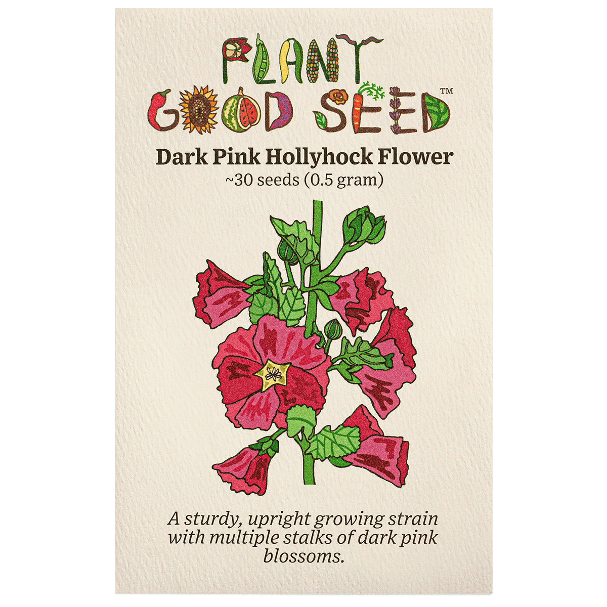 Dark Pink Hollyhock Flower Seed Packet Organic