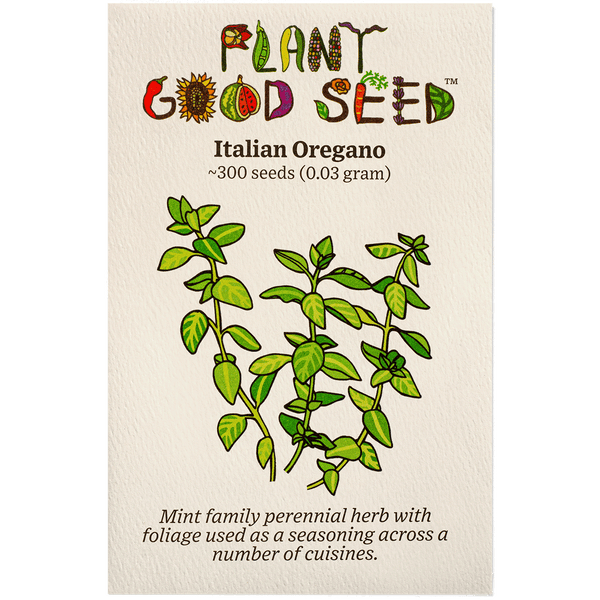 Country Creek Heirloom Oregano Seeds – 100 Non-GMO Italian Herb Seeds – Easy Grow, Full Sun, Edible