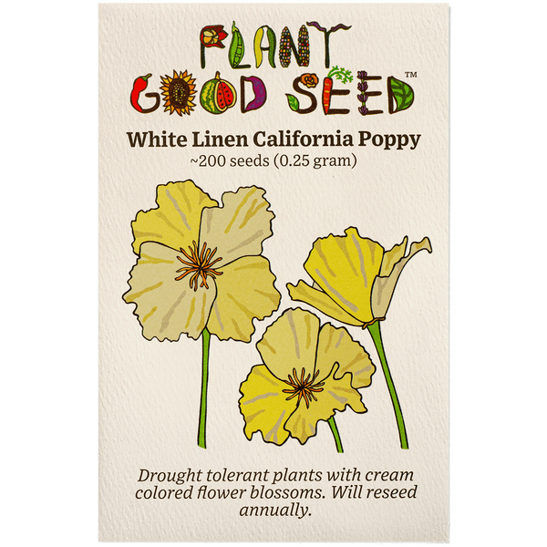 white poppy flower seeds White Linen California Poppy Seeds