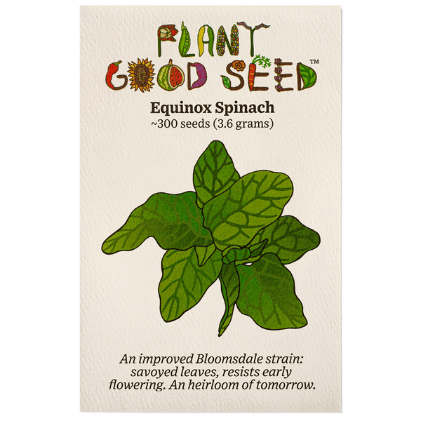 plant spinach seeds Equinox Spinach Seeds