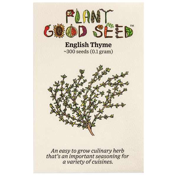 English Thyme Seeds The Plant Good Seed Company