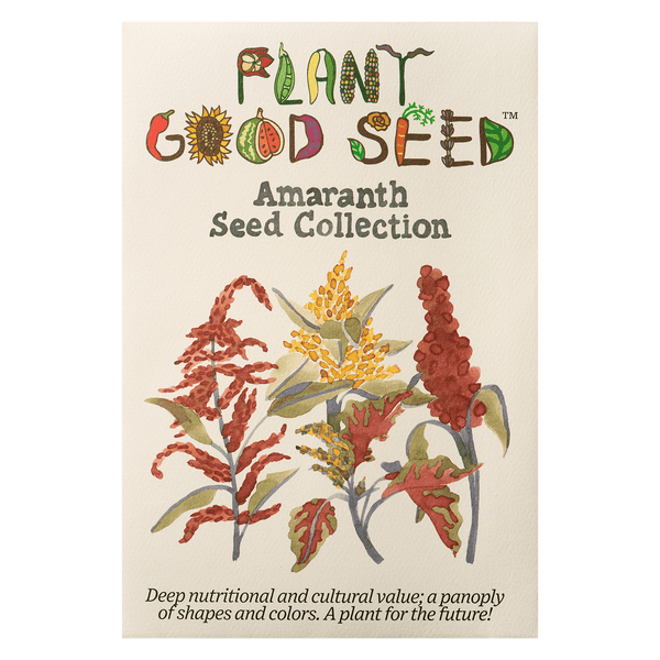 Amaranth Seed Collection - Three Packets