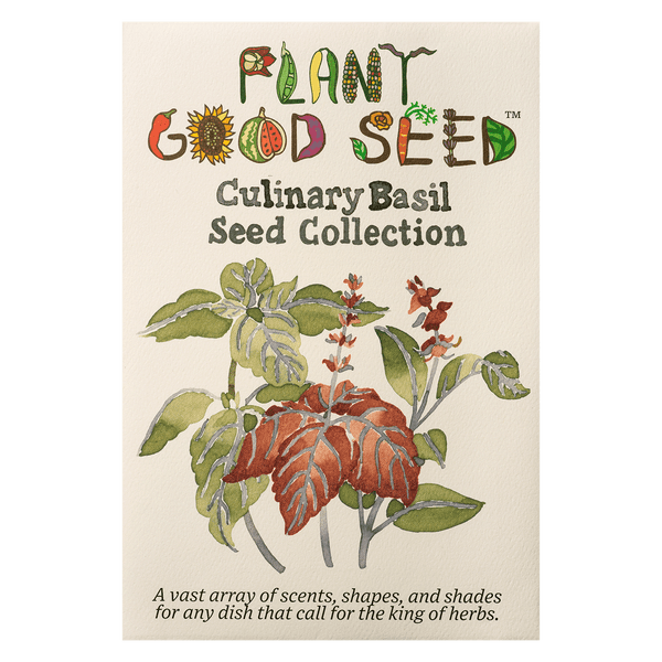 Culinary Basil Seed Collection Six Packets The Plant Good Seed Company