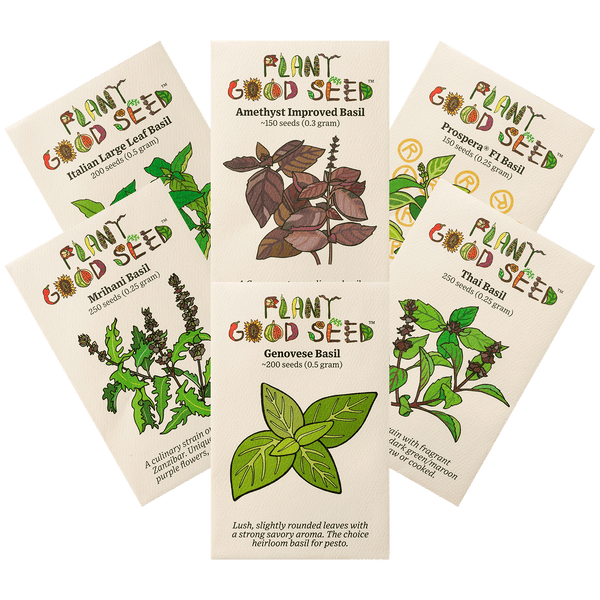 Culinary Basil Seed Collection Six Packets The Plant Good Seed Company
