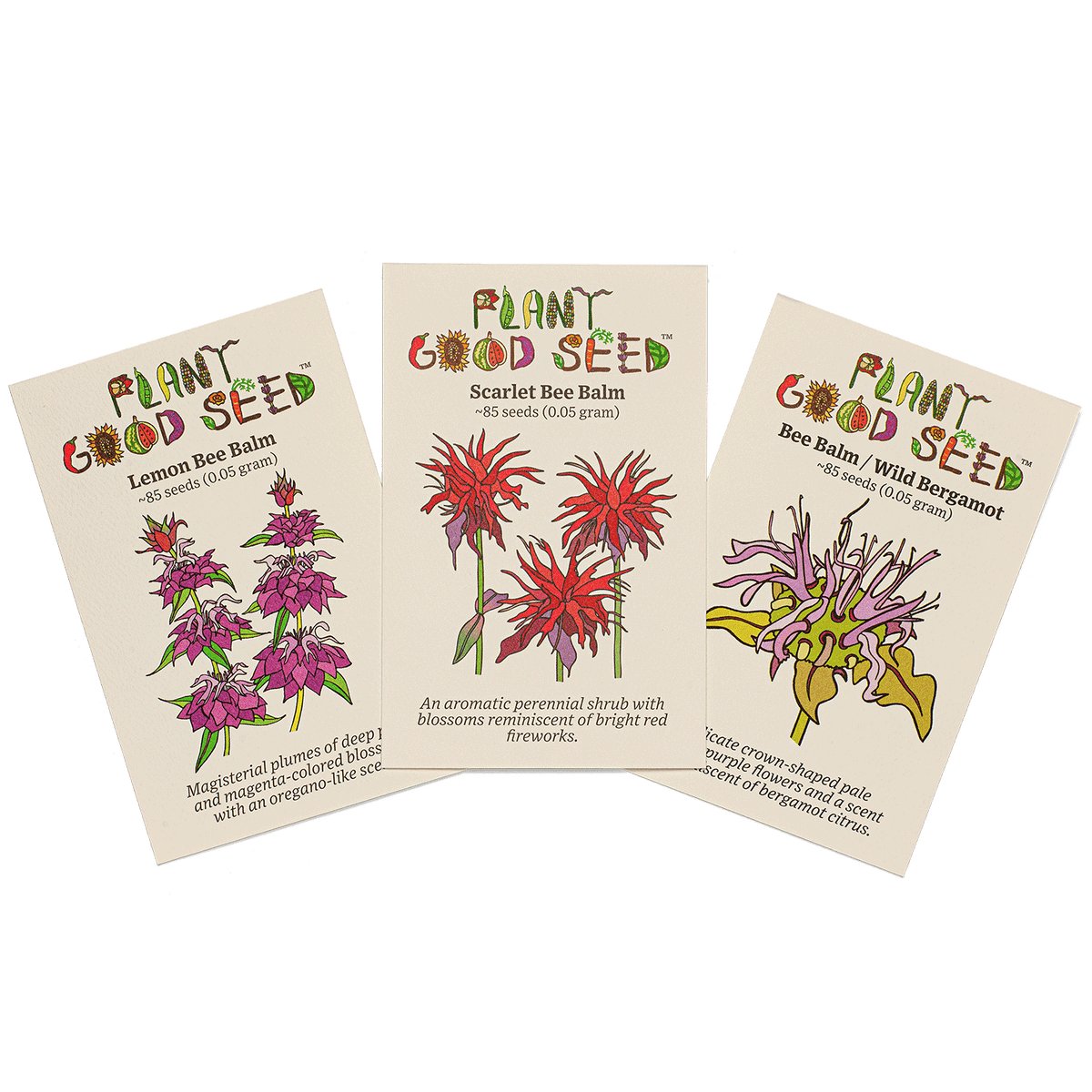 Bee Balm Seed Collection