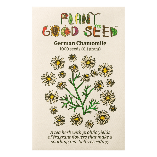 chamomile flower seeds for sale German Chamomile Seeds