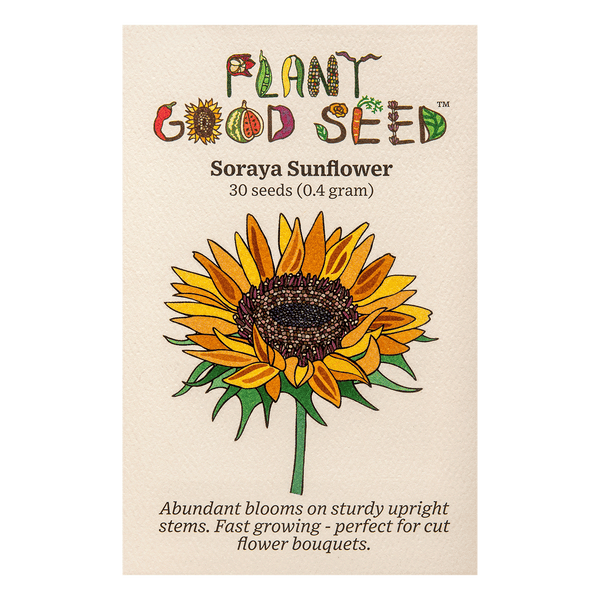 Soraya Sunflower Seeds The Plant Good Seed Company