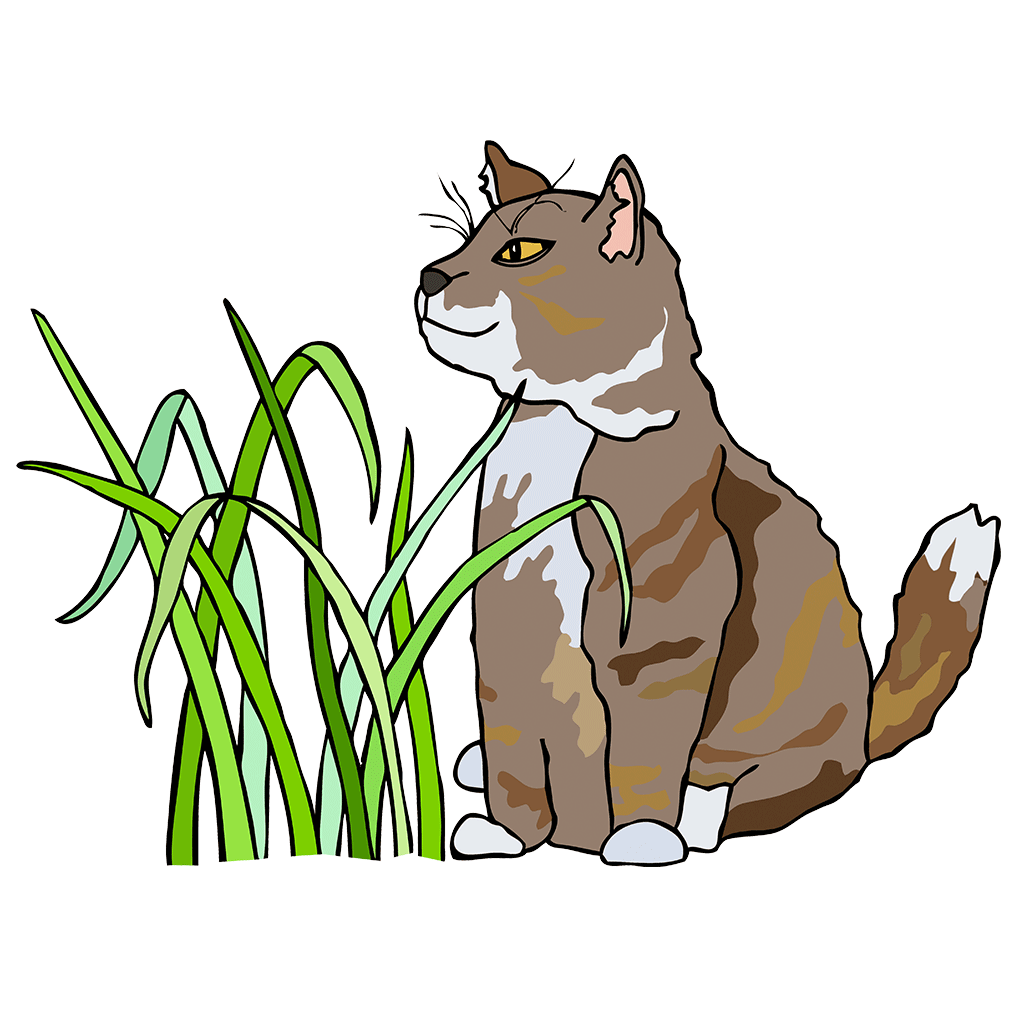 Cat Grass