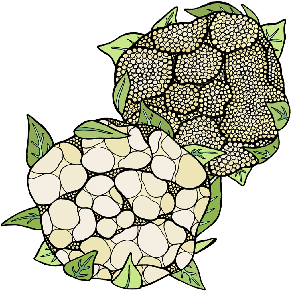 Cauliflower