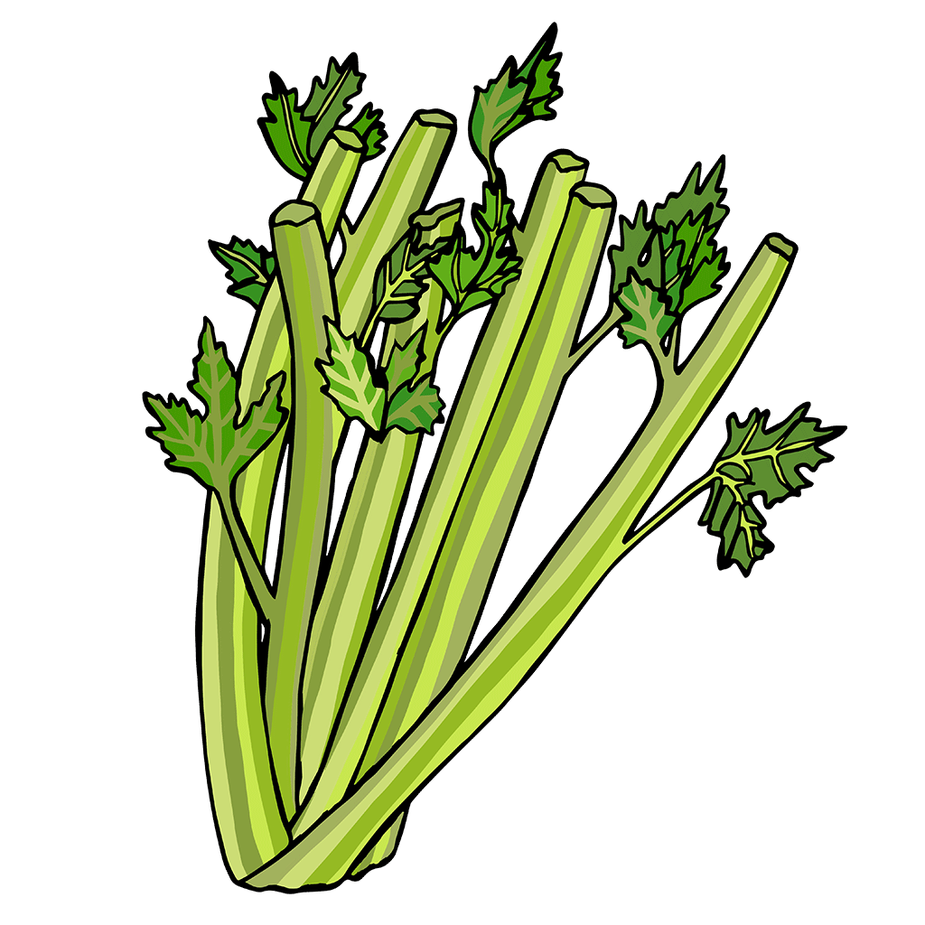Celery