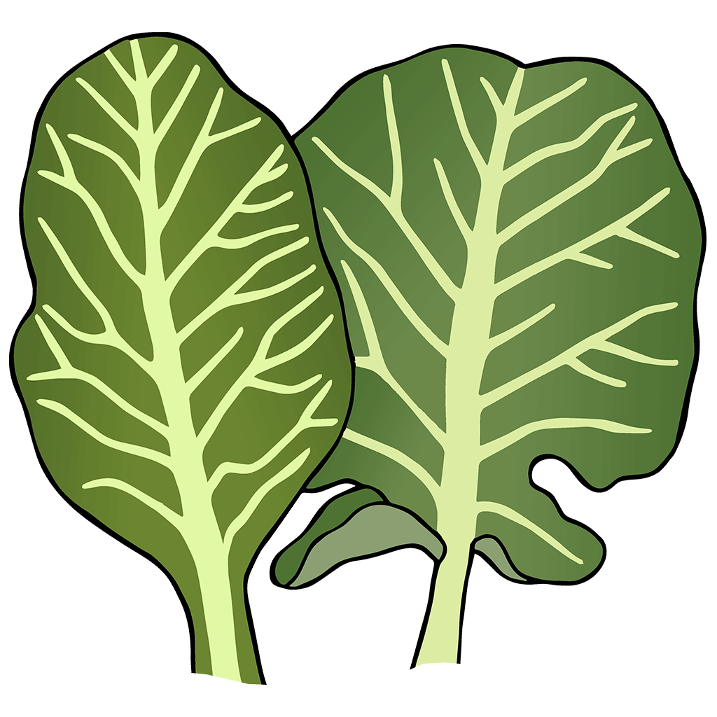 Collard