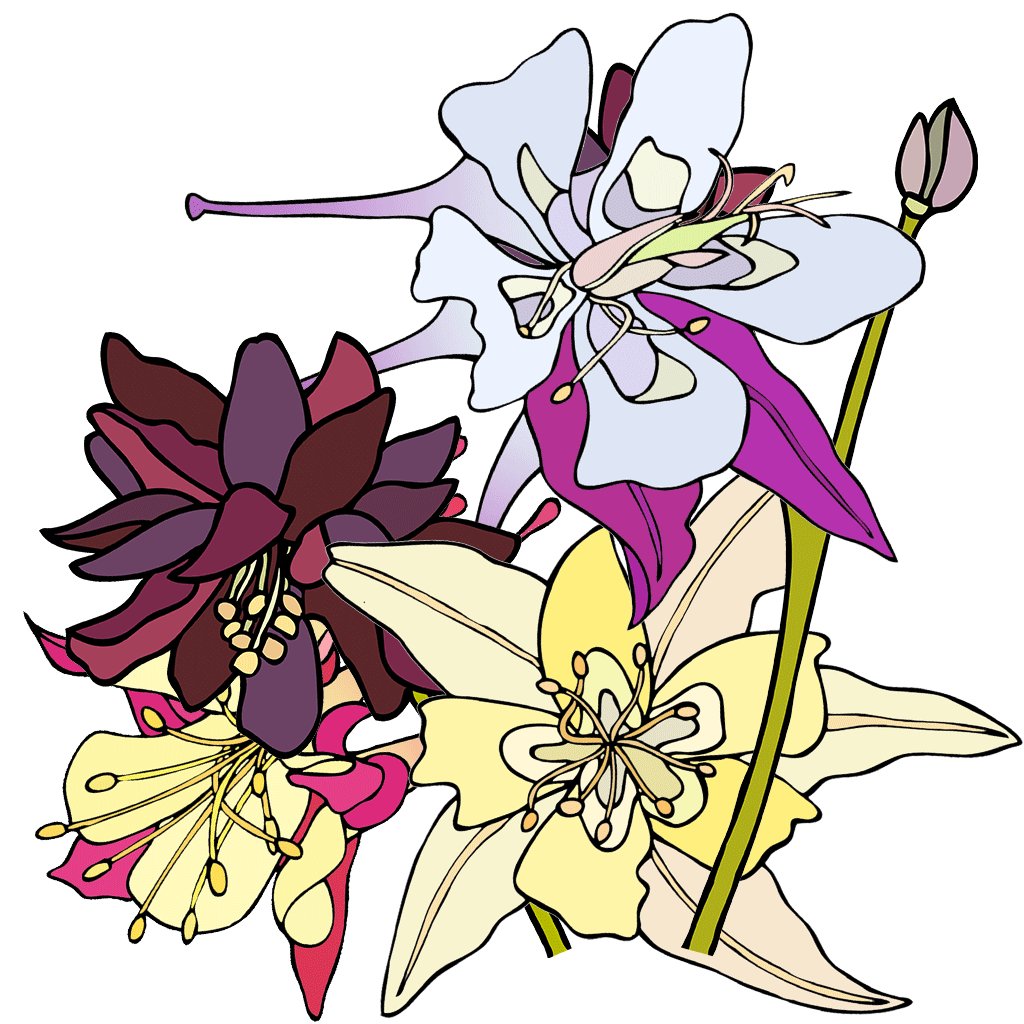 Columbine