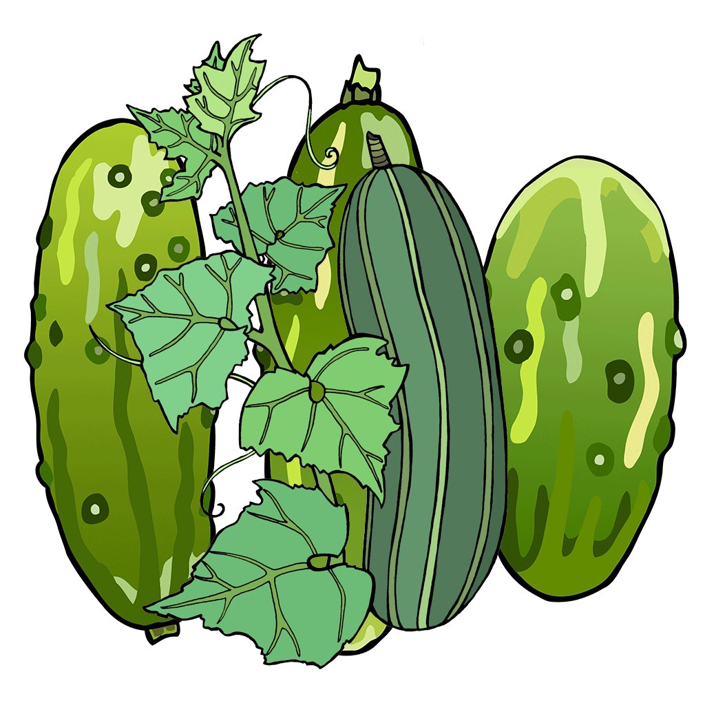 Cucumbers