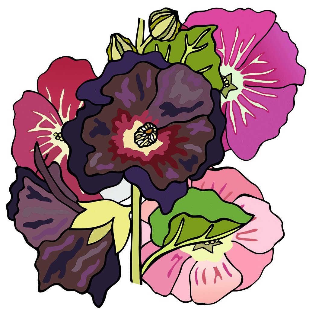 Hollyhock