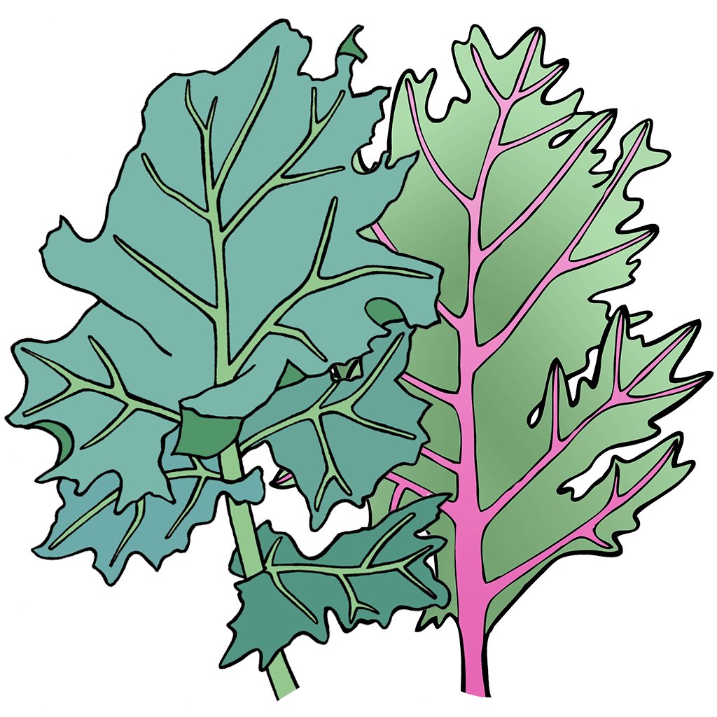 Kale