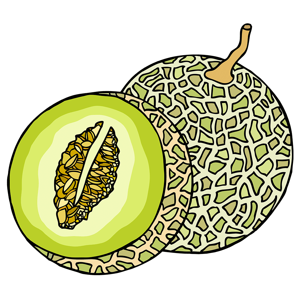 Melon Seed Collection