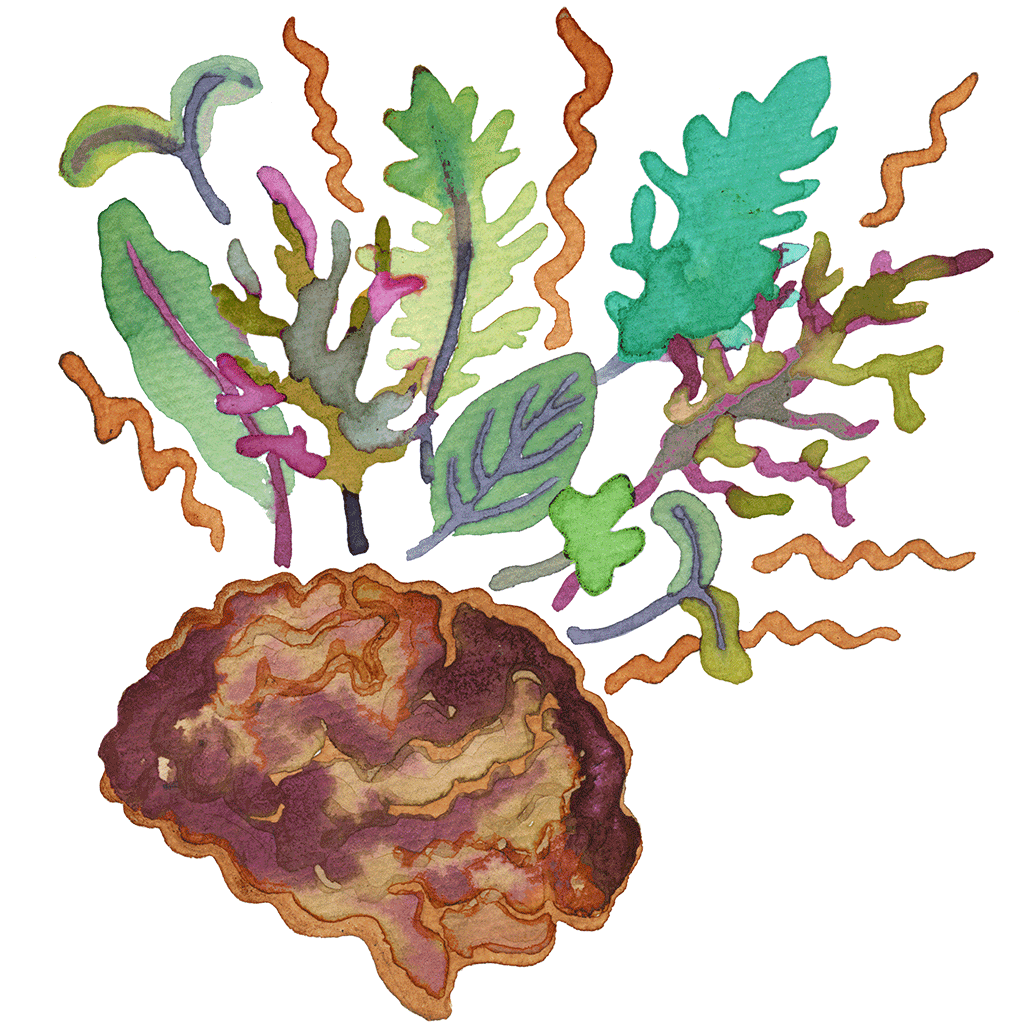 Microgreens