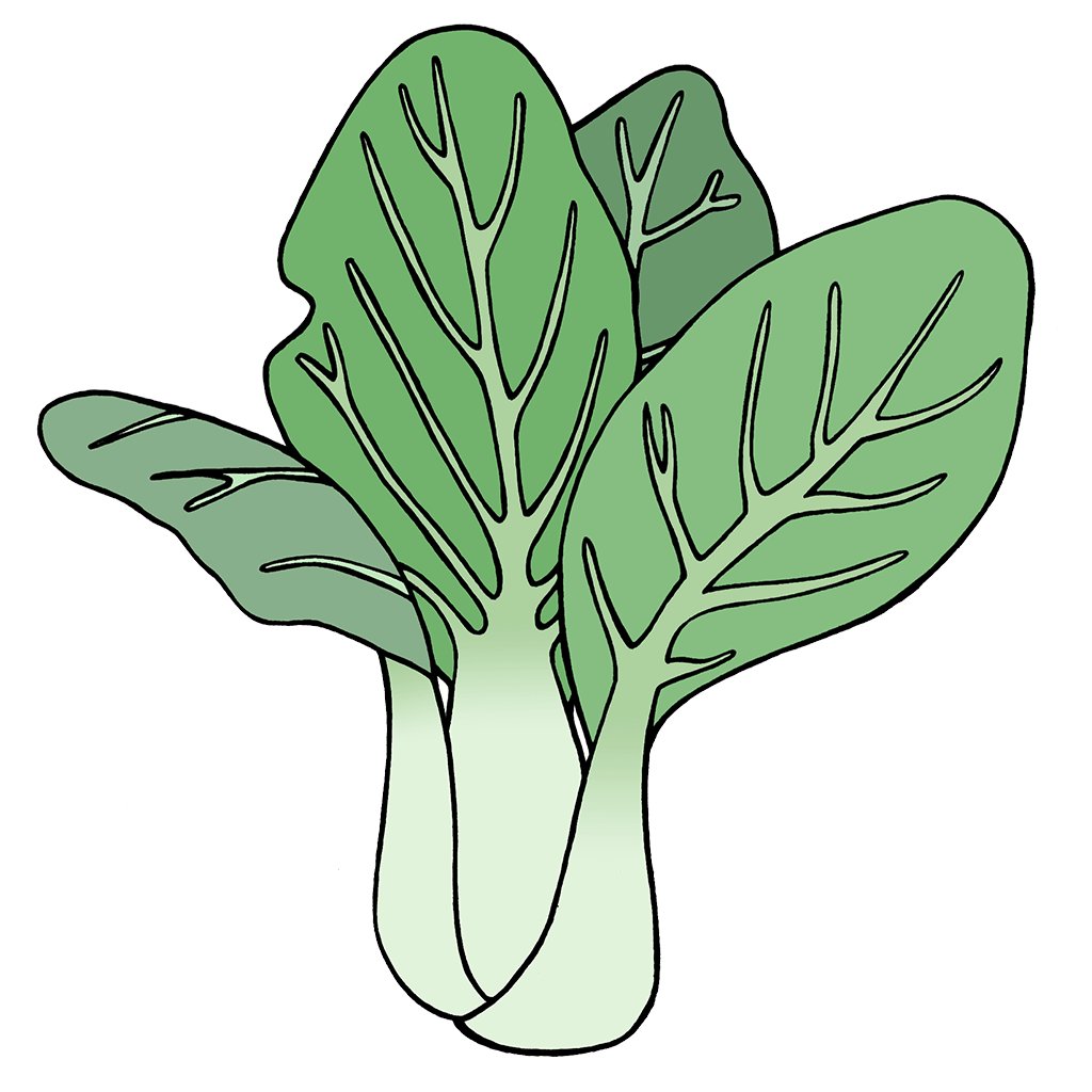 Pak Choi