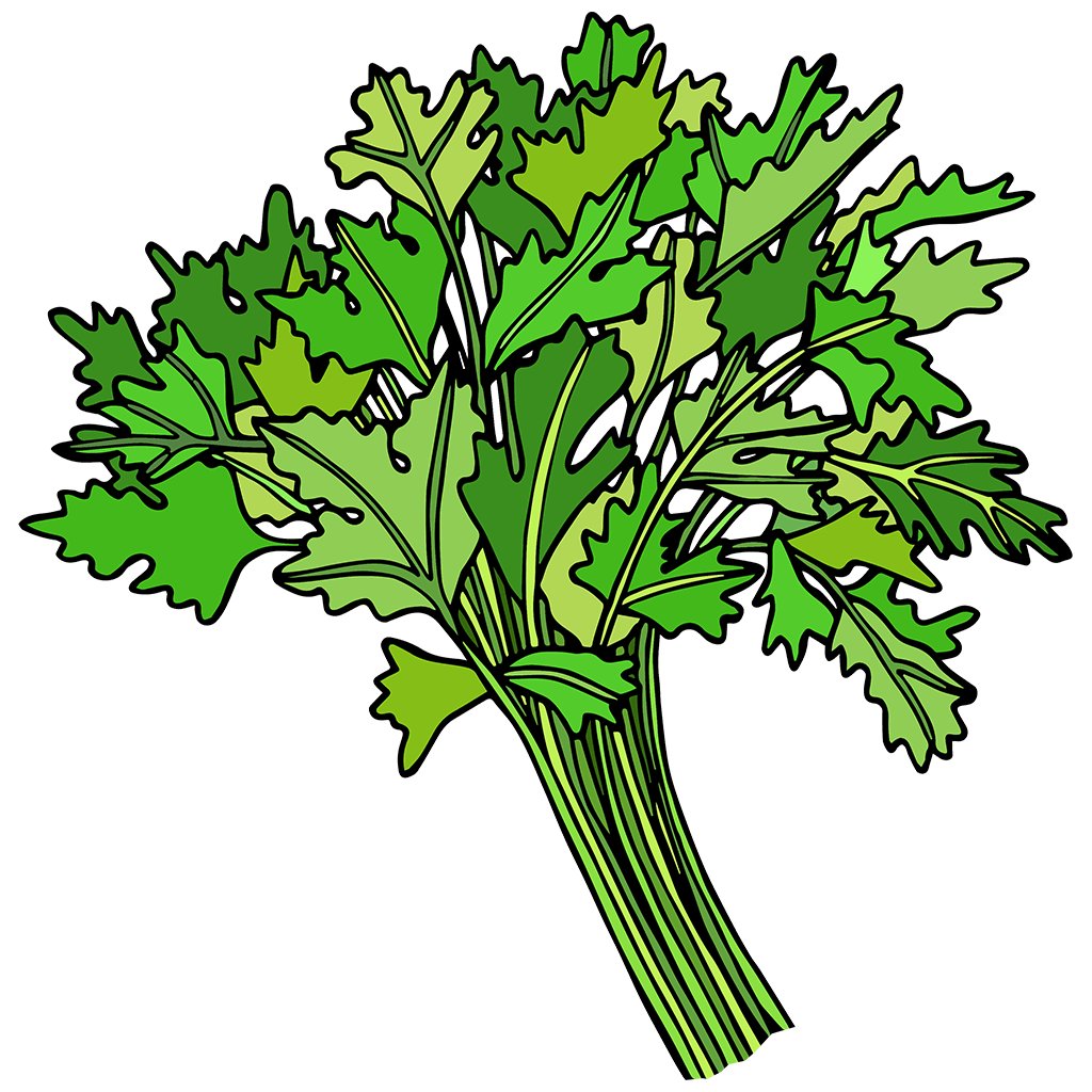 Parsley