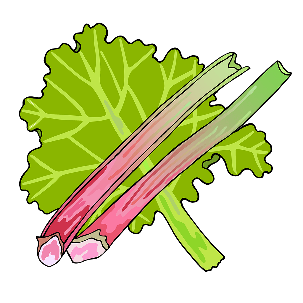 Rhubarb