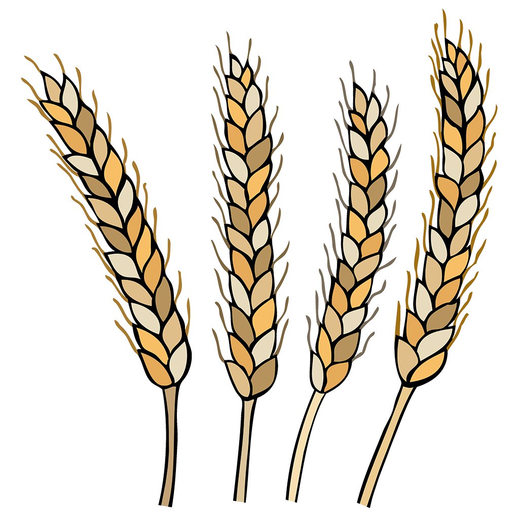 Rye