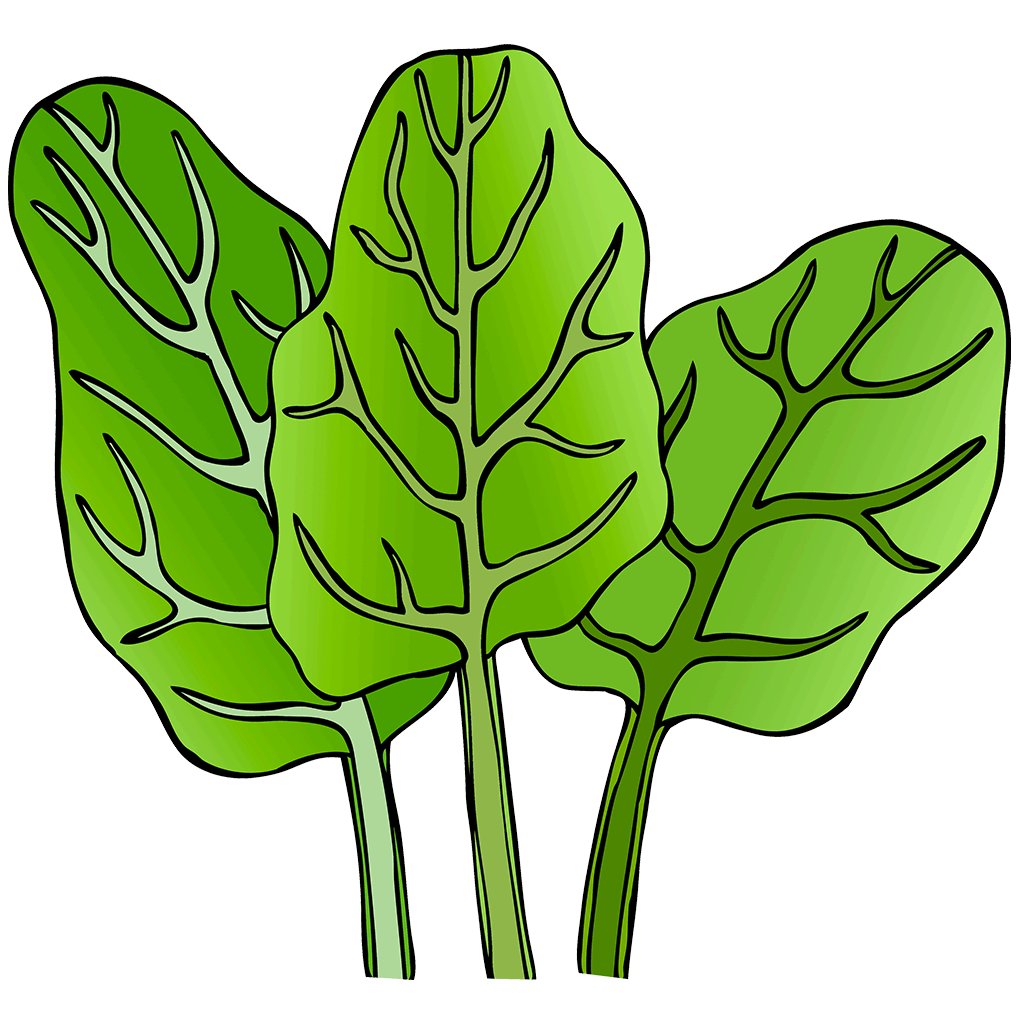 Spinach