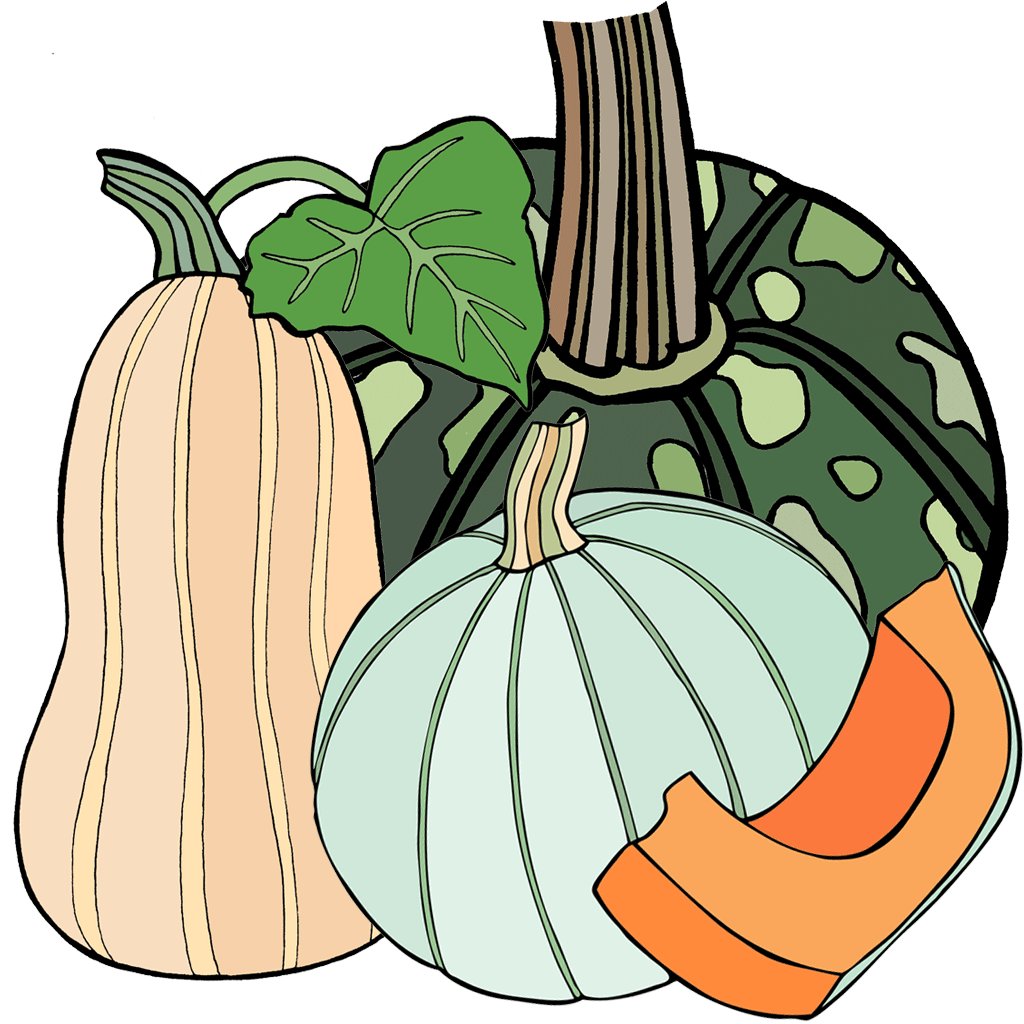 Squash, Winter