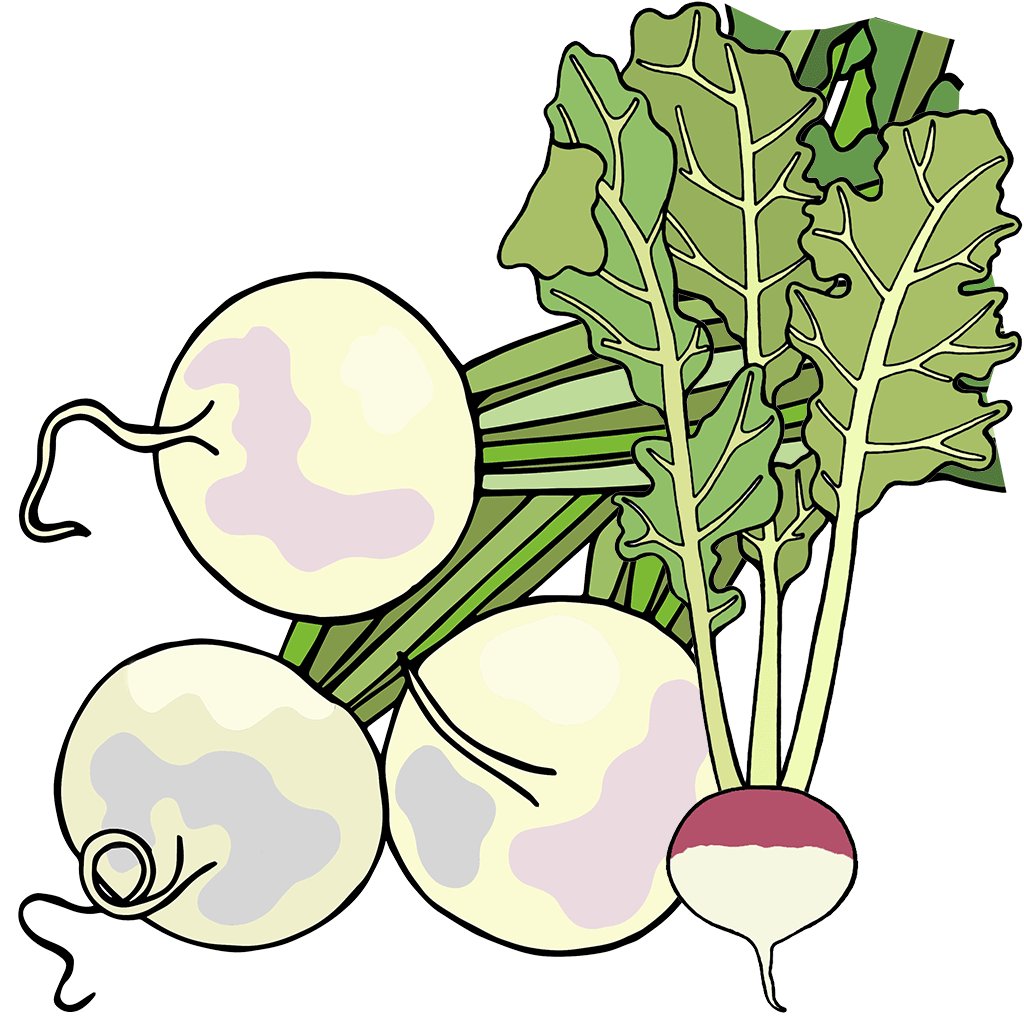 Turnips