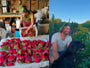 Appleyard Veg and Flower Seed