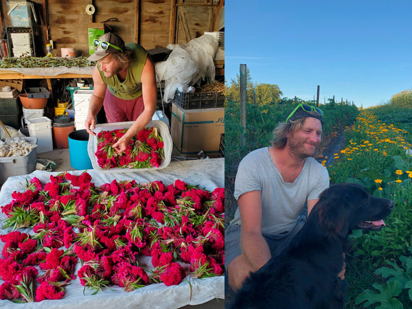 Driftless Seed Company