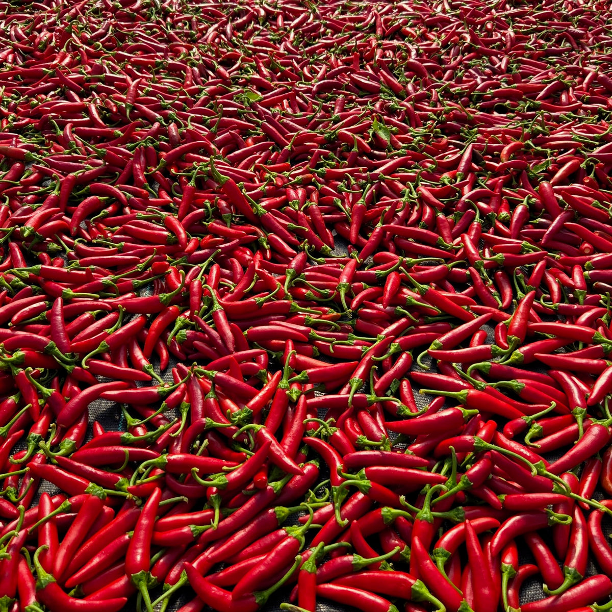 Gochugaru Korean Hot Pepper