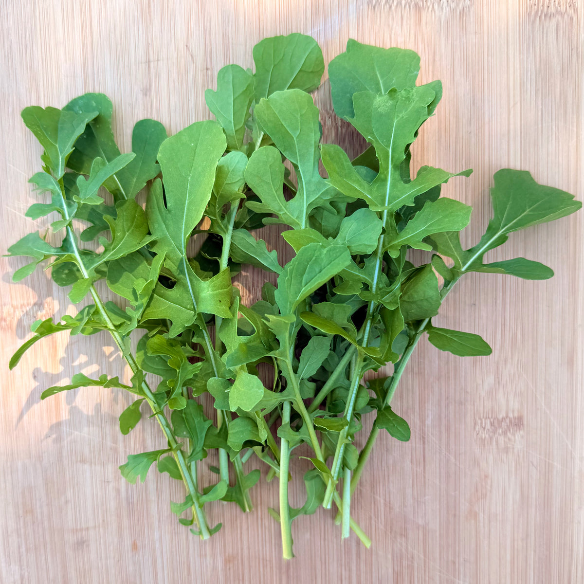 Esmee Arugula