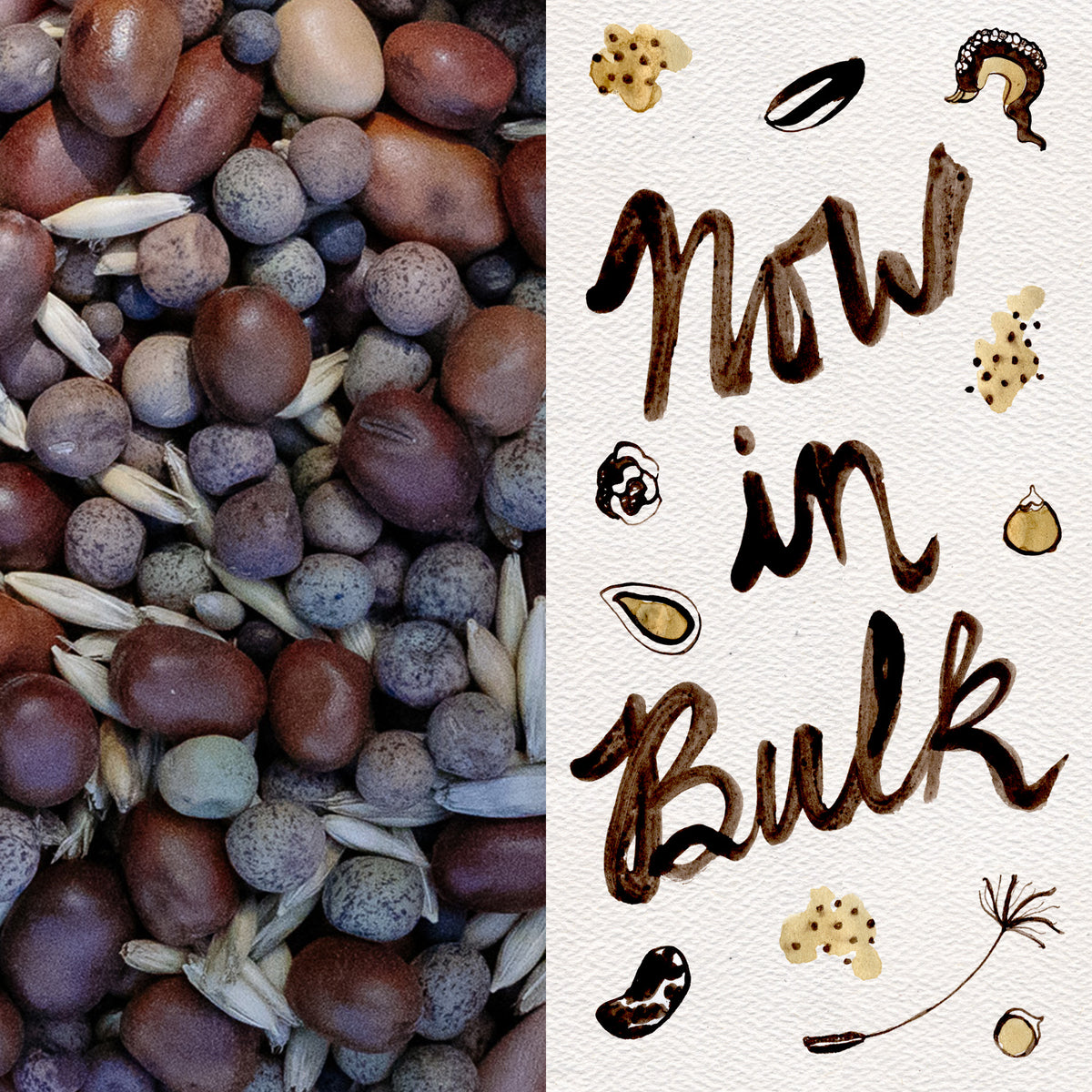 "As You Like It" Cover Crop Blend: High Biomass, Nitrogen Fixing Legumes