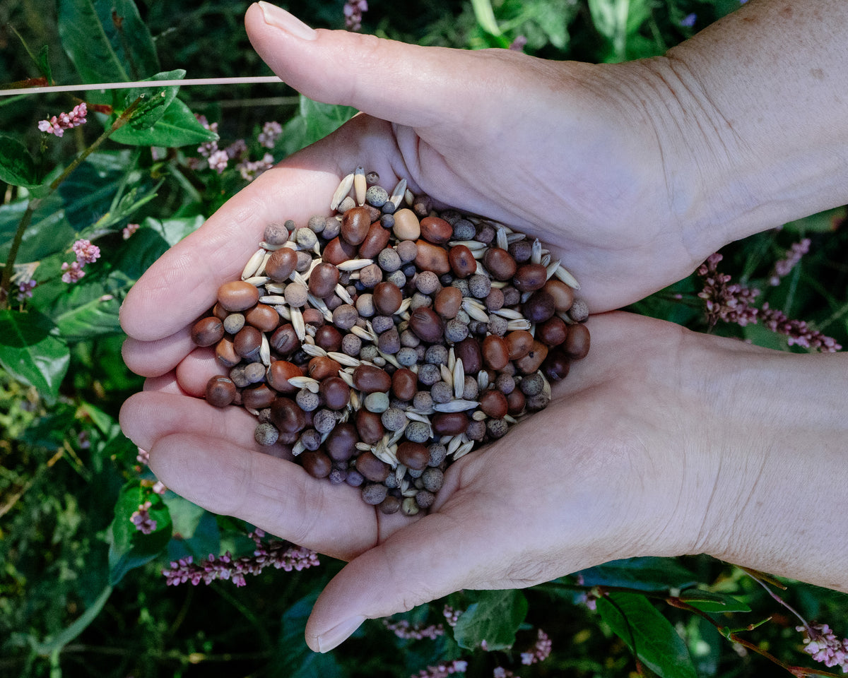 "As You Like It" Cover Crop Blend: High Biomass, Nitrogen Fixing Legumes