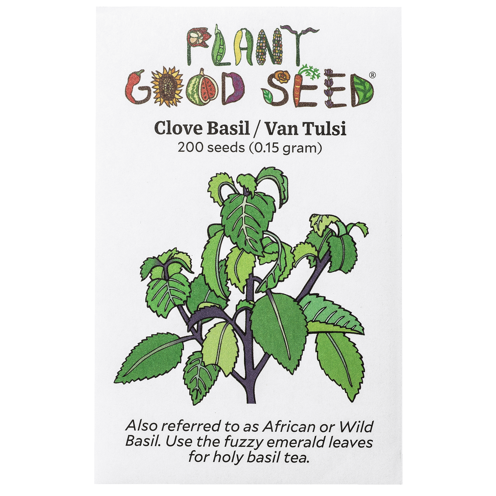 tulsi plant from seeds Vana Tulsi / Holy Basil Seeds