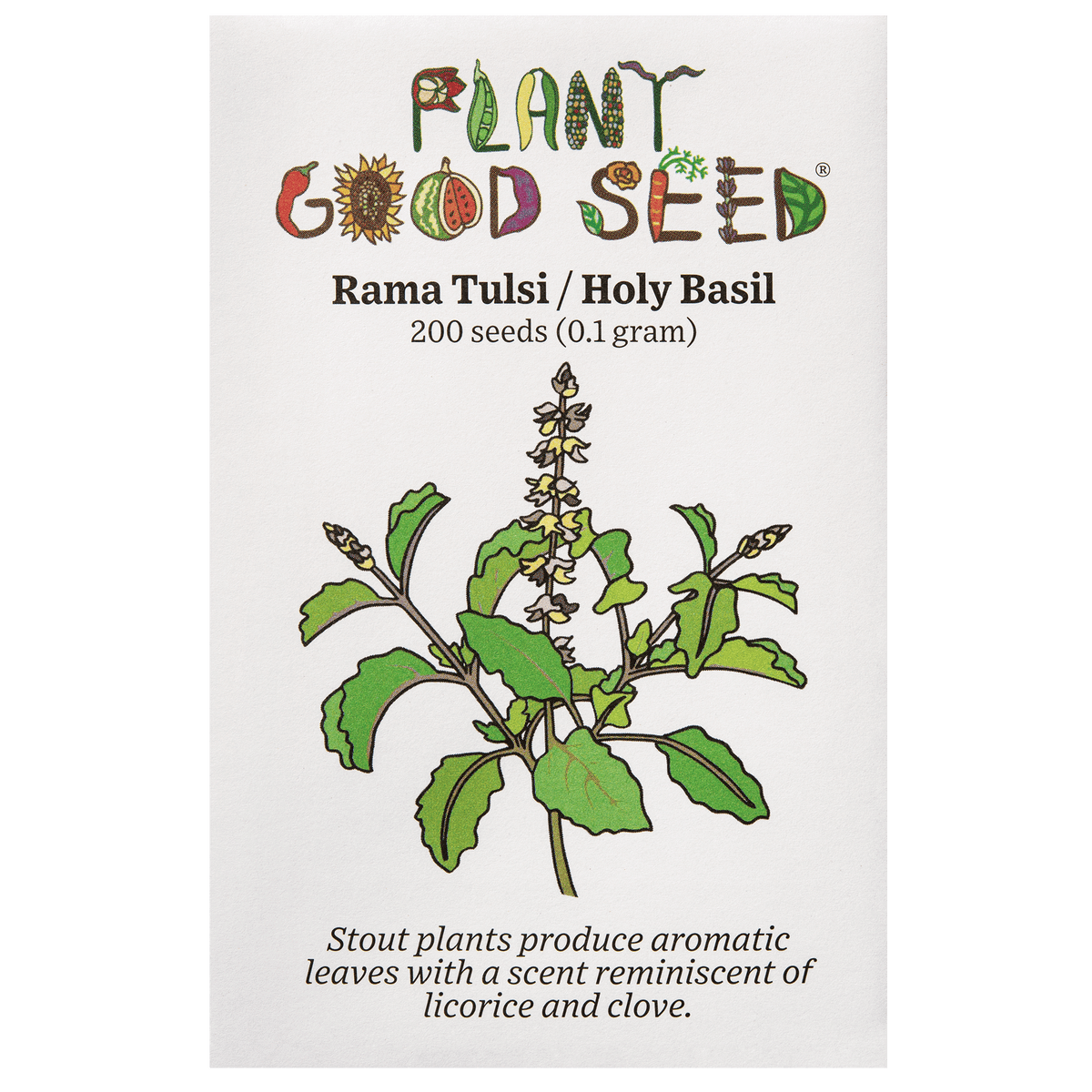 Rama Tulsi / Holy Basil Seeds - The Plant Good Seed Company