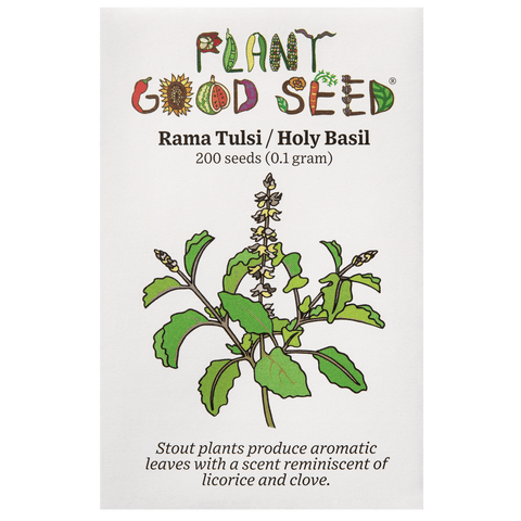Rama Tulsi / Holy Basil Seeds - The Plant Good Seed Company