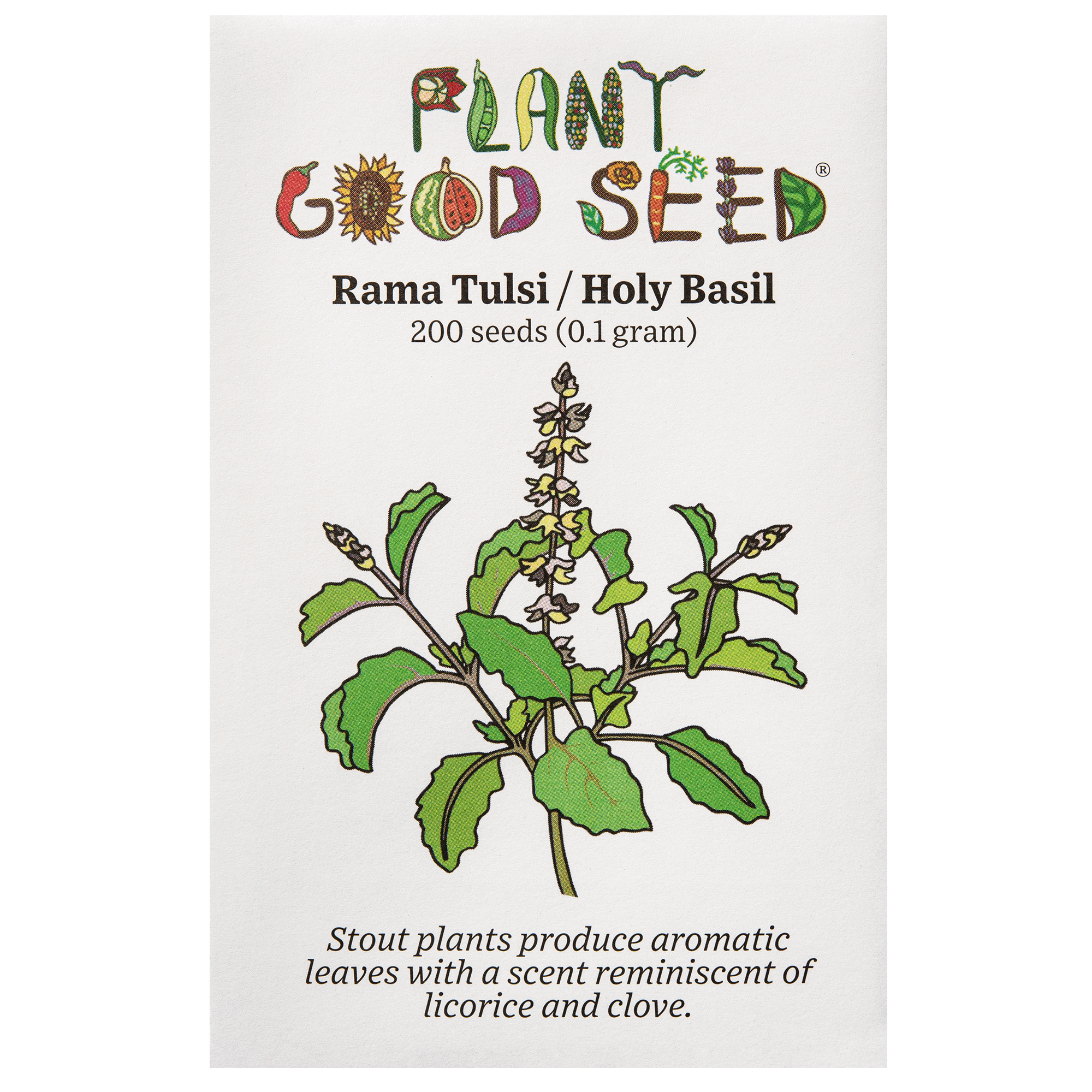indian tulsi plant seeds Kapoor Tulsi / Holy Basil Seeds BULK: 38,000 Seeds (1 ounce), OG